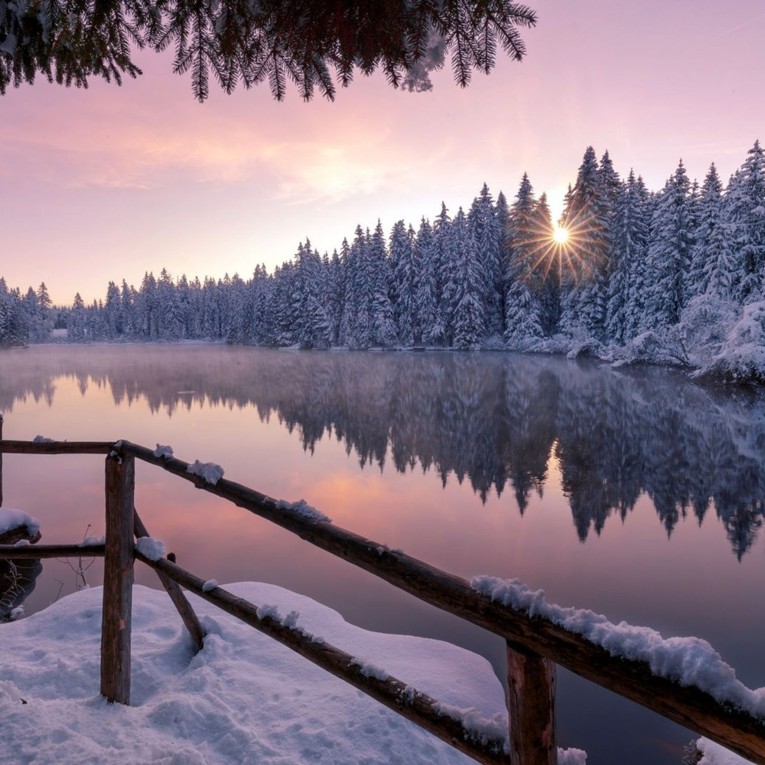 Winter's Welcome